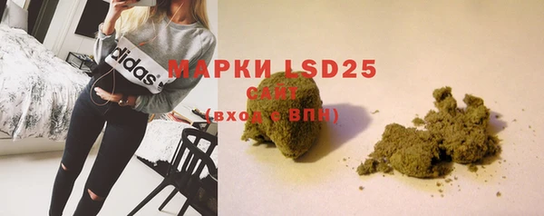 PSILOCYBIN Козельск
