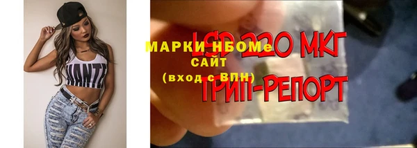 spice Кодинск