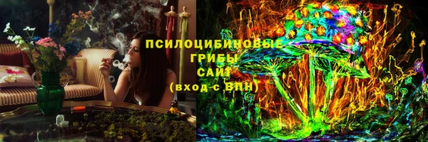 PSILOCYBIN Козельск