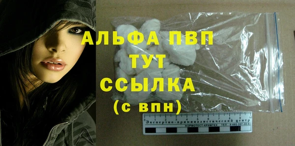 PSILOCYBIN Козельск